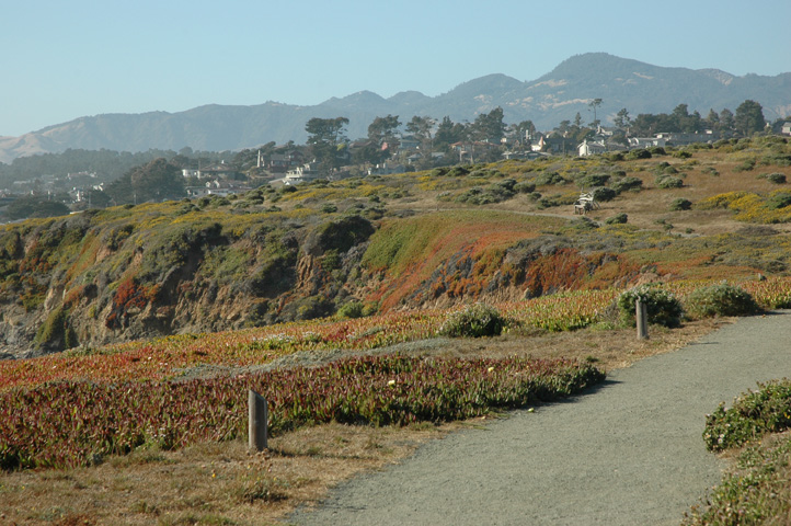 Cambria and Cayucos 074.jpg